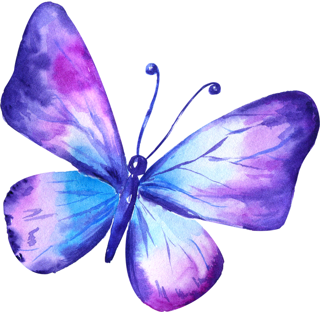 Butterfly watercolor